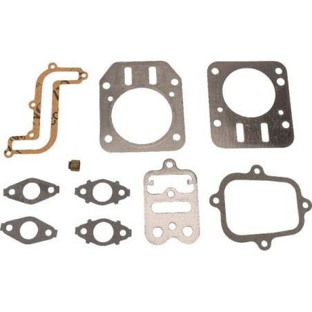 Kit BRIGGS ET STRATTON 791798