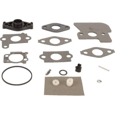 Kit BRIGGS ET STRATTON 792383