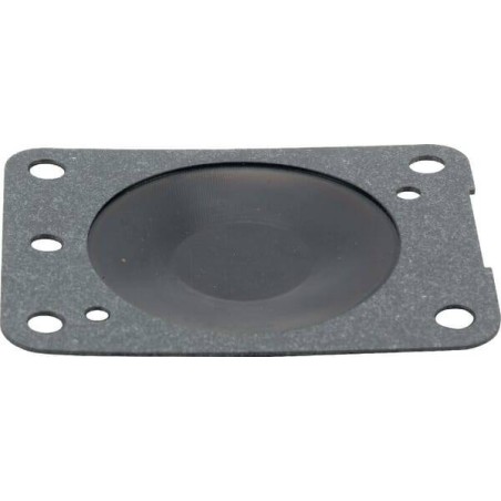 Membrane BRIGGS ET STRATTON 693488