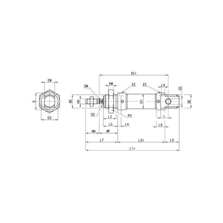 Mini vérin CAMOZZI 24N1A25A050