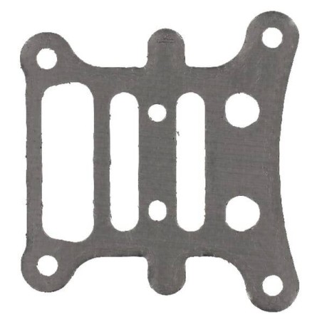 Plaque BRIGGS ET STRATTON 796473