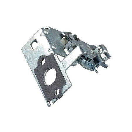 Plaque BRIGGS ET STRATTON 496817