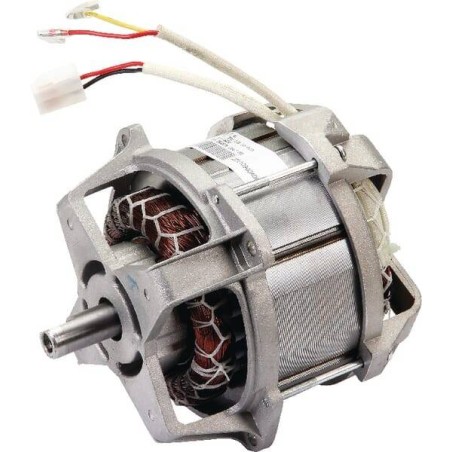 Moteur electrique 1500W CASTELGARDEN 1185636800 - 118563680/0