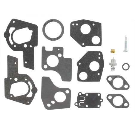 Kit de carburateur BRIGGS ET STRATTON 495606 - 494624