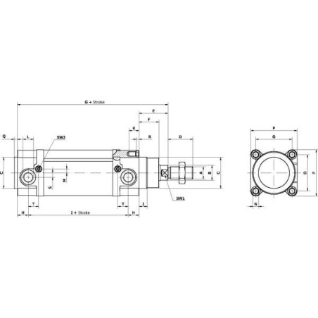 Vérin UNIVERSEL DN32100CM