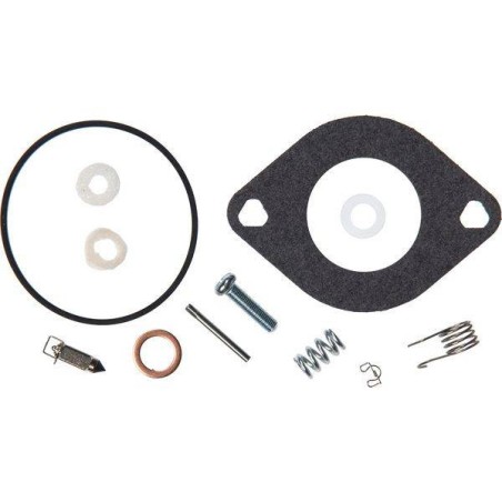 Kit réparation BRIGGS ET STRATTON 594886